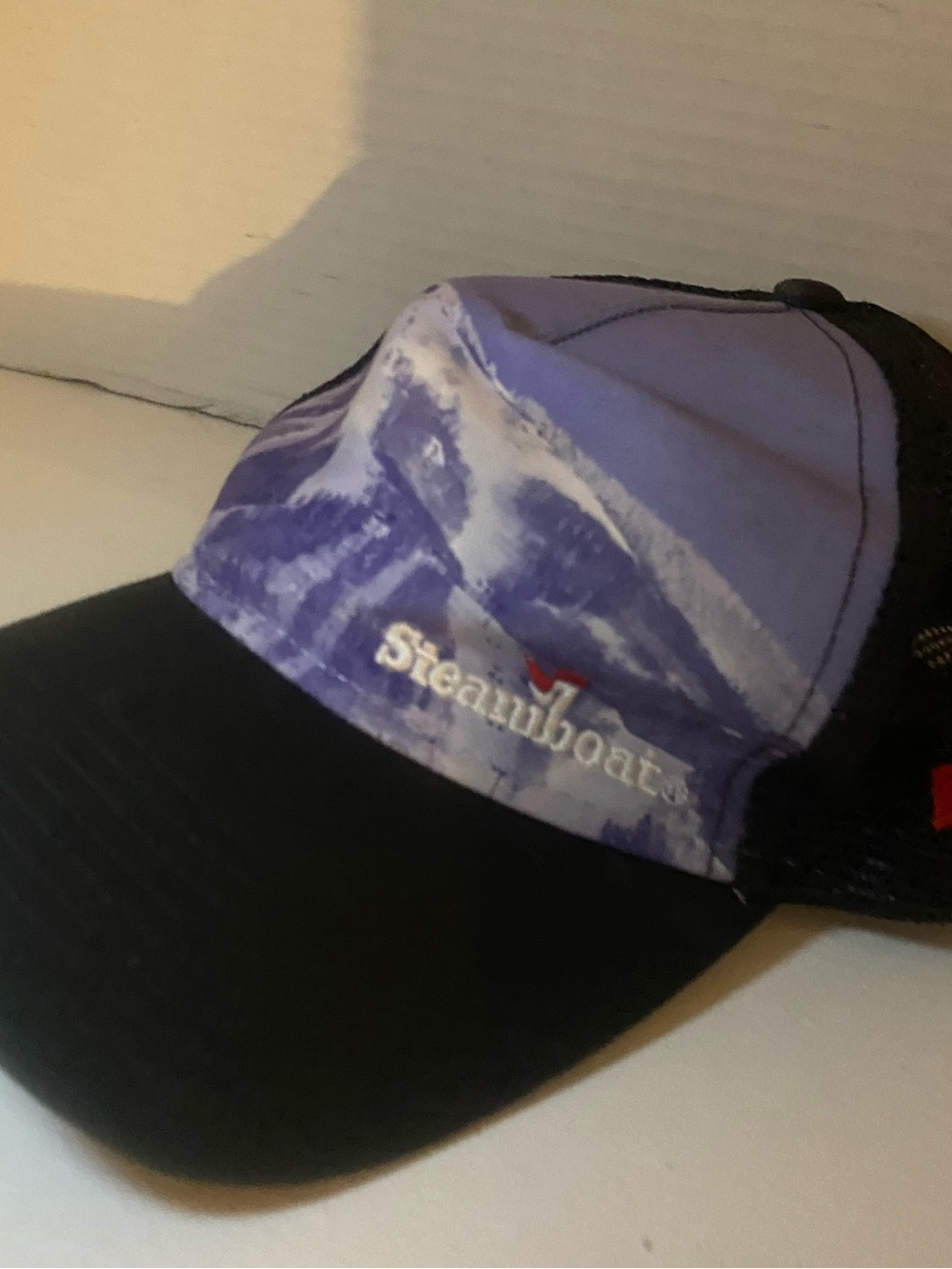 Mountain Print Trucker Hat - Purple and Black